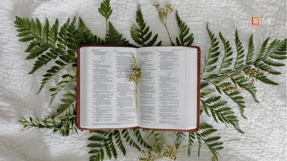 biblia aberta em cima de ramos, Um Chamado à Profundidade Espiritual