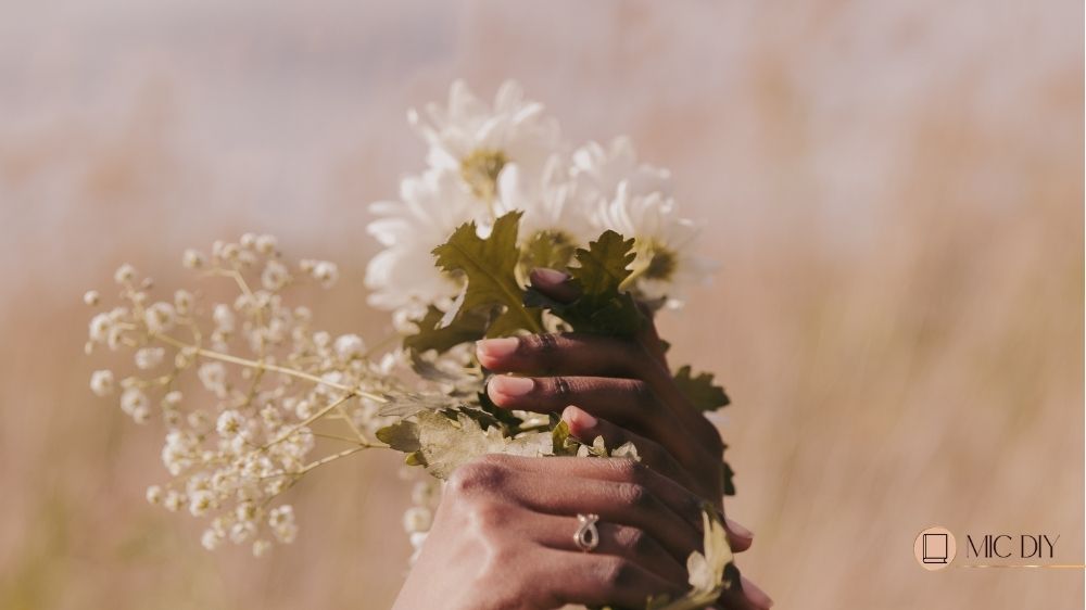 mão segurando flores brancas