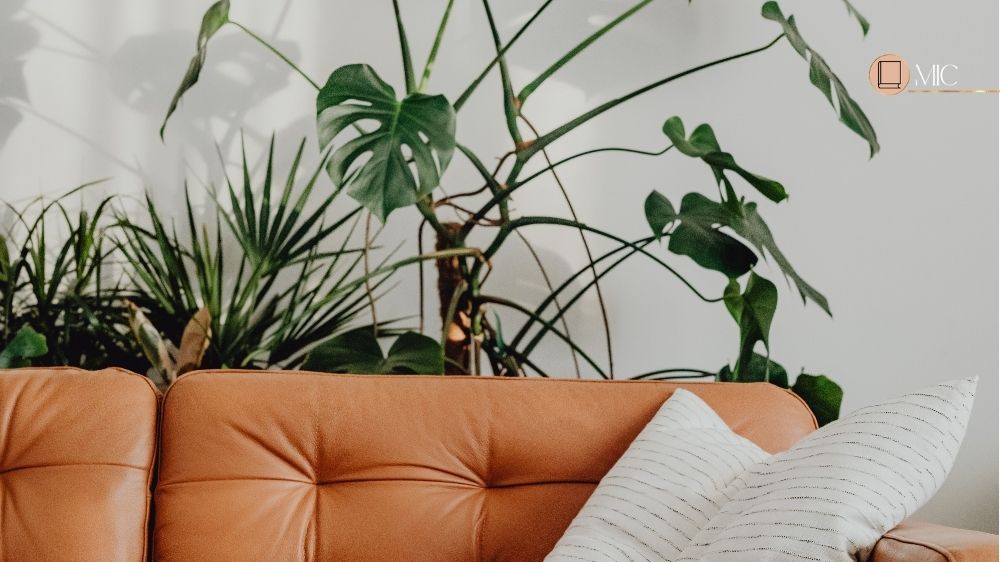 sofá laranja com plantas atras